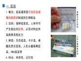 4.4 免疫学的应用 课件 【新教材】人教版（2019）高中生物选择性必修一