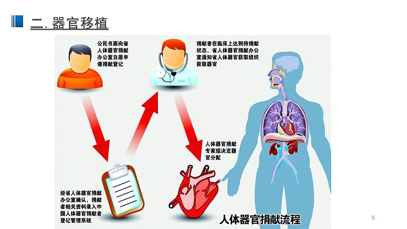 4.4 免疫学的应用 课件 【新教材】人教版（2019）高中生物选择性必修一05