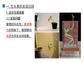 5.1 植物生长素 课件 【新教材】人教版（2019）高中生物选择性必修一