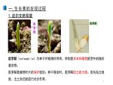 5.1 植物生长素 课件 【新教材】人教版（2019）高中生物选择性必修一