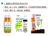 5.3 植物生長調(diào)節(jié)劑的應用 課件 【新教材】人教版（2019）高中生物選擇性必修一