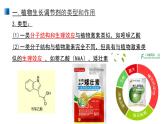 5.3 植物生長調(diào)節(jié)劑的應用 課件 【新教材】人教版（2019）高中生物選擇性必修一