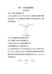 高中生物人教版 (2019)选择性必修3第3章 基因工程第4节 蛋白质工程的原理和应用综合训练题