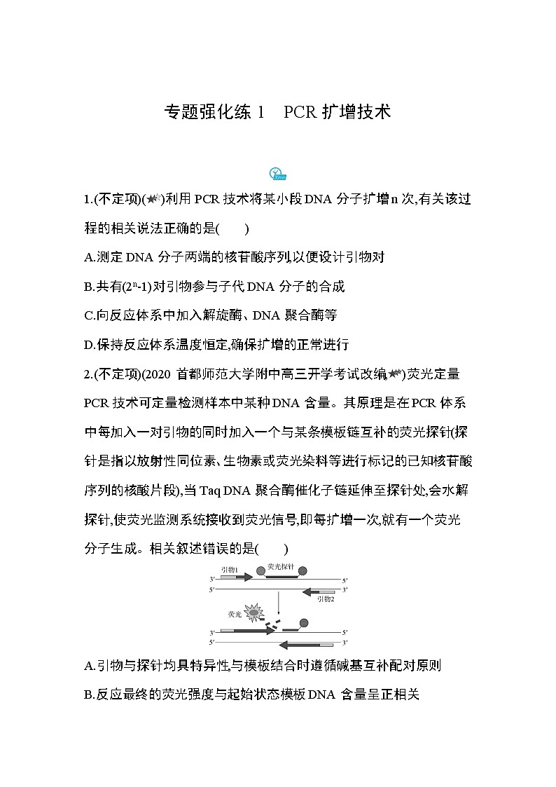 专题强化练1　PCR扩增技术第1页