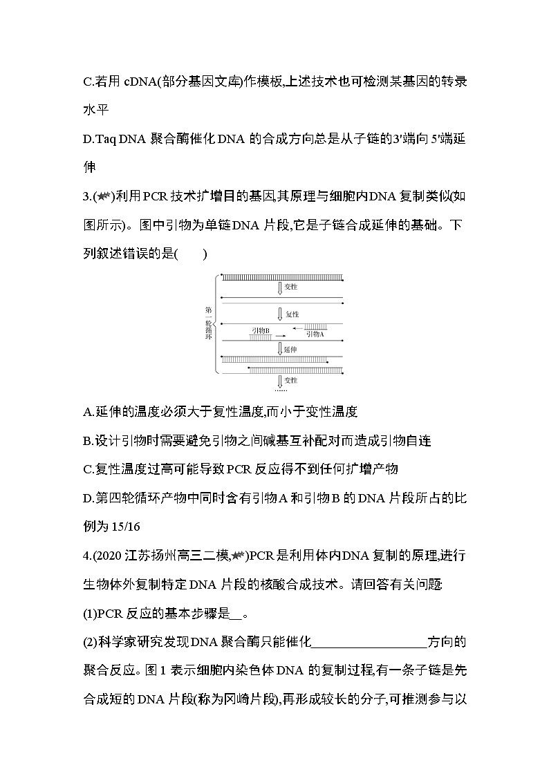 专题强化练1　PCR扩增技术第2页