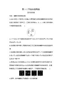 高中生物人教版 (2019)必修2《遗传与进化》第2章 基因和染色体的关系第2节 基因在染色体上同步测试题