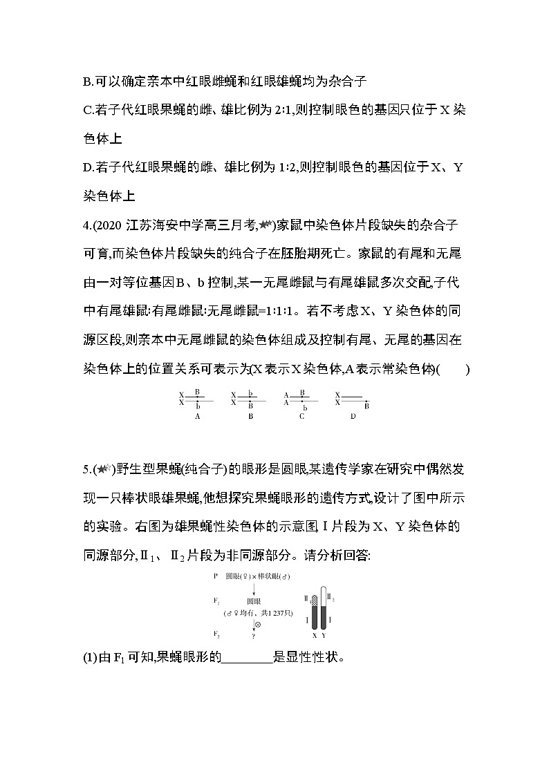 专题强化练3　探究基因在染色体上的位置02