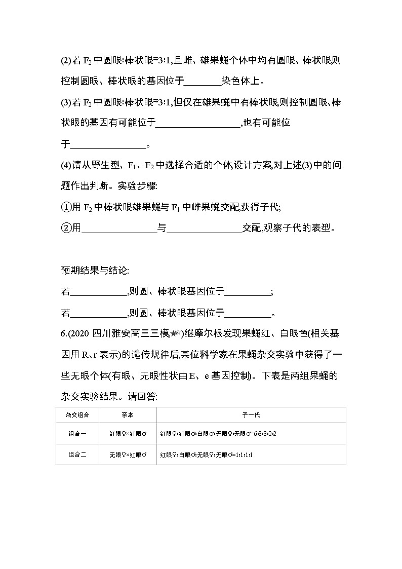 专题强化练3　探究基因在染色体上的位置03