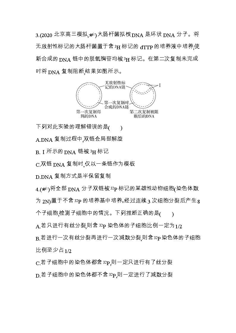 专题强化练4　细胞分裂与DNA复制的综合运用第2页