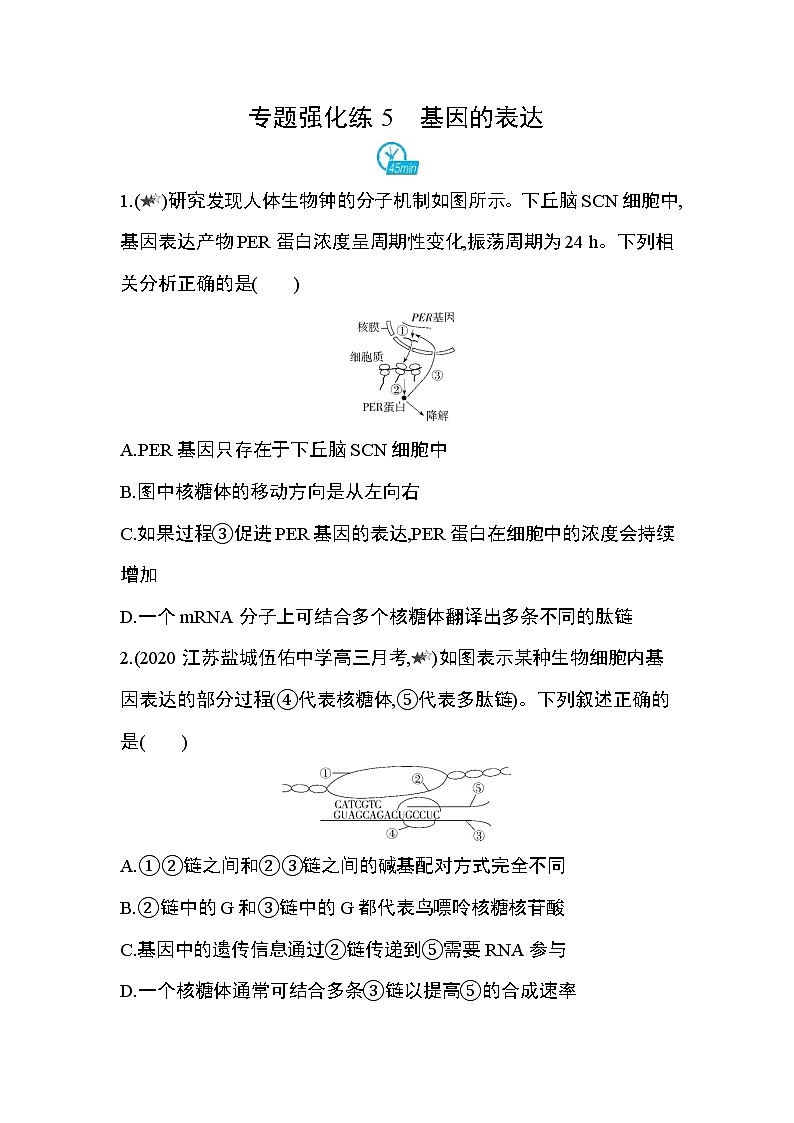专题强化练5　基因的表达第1页