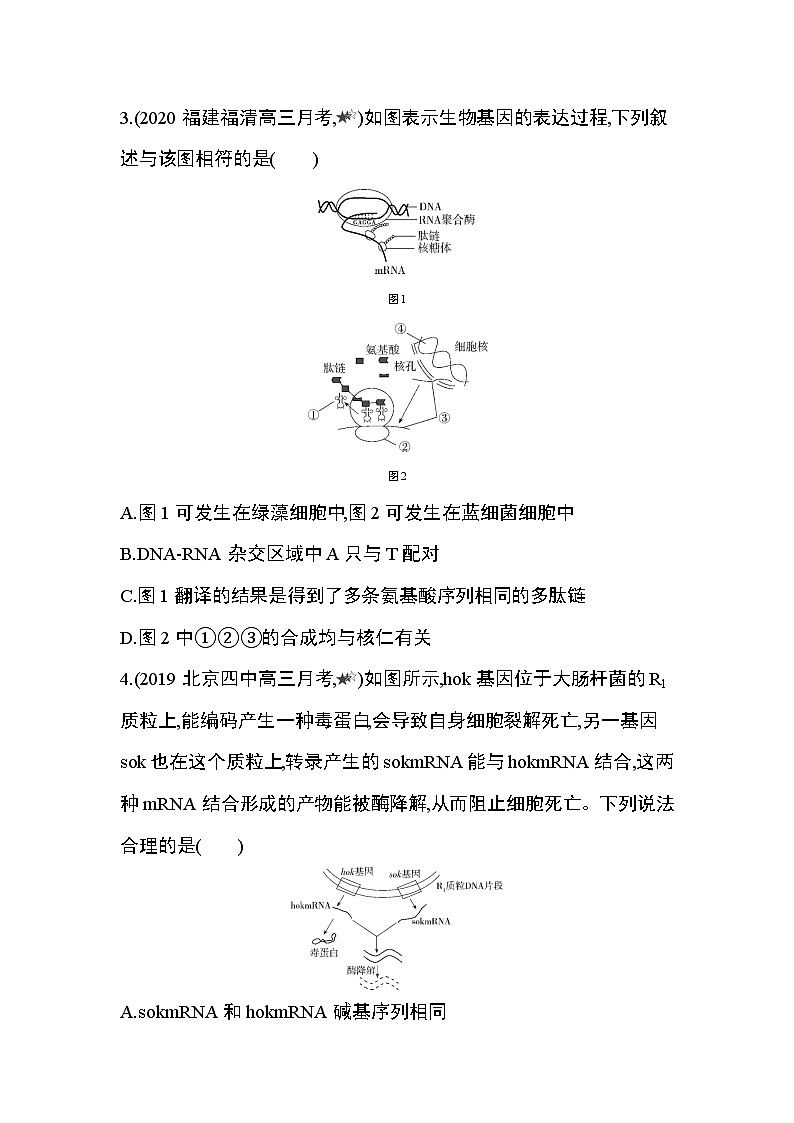 专题强化练5　基因的表达第2页