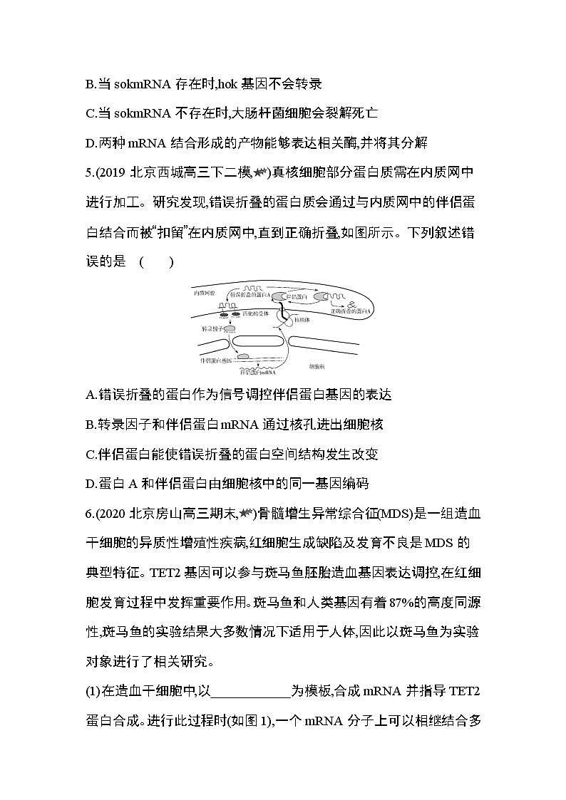 专题强化练5　基因的表达第3页