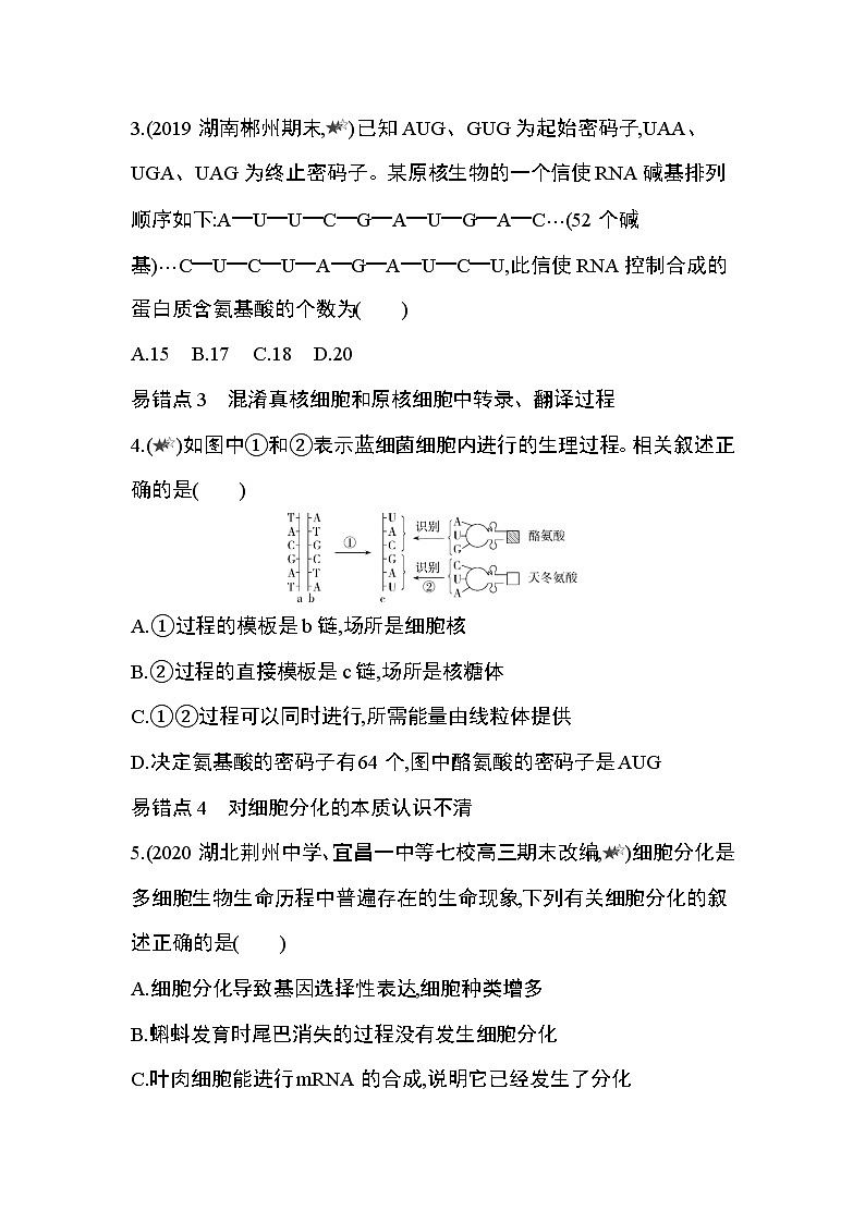 第4章　基因的表达复习提升 试卷02