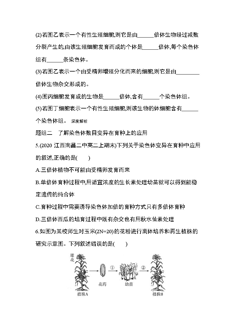 第2节第1课时　染色体数目的变异练习题第2页