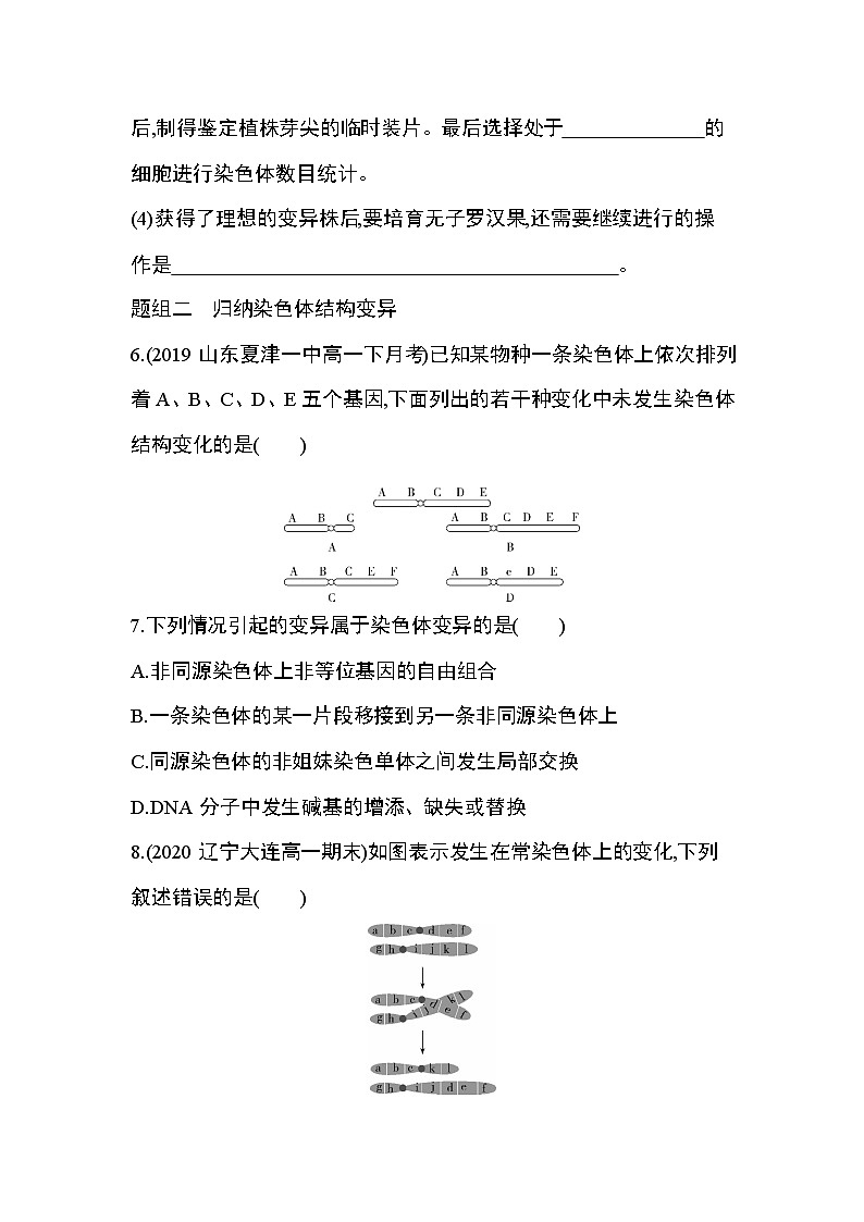 第2节第2课时　低温诱导植物细胞染色体数目变异及染色体结构变异练习题03