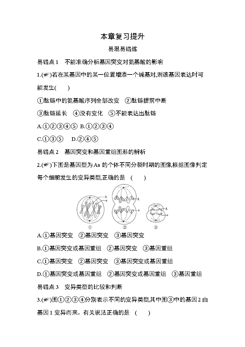 第5章　基因突变及其他变异复习提升第1页