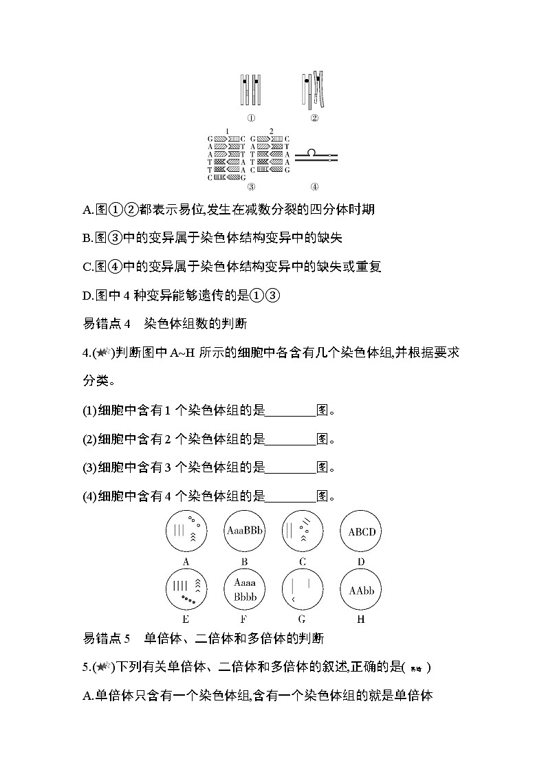第5章　基因突变及其他变异复习提升第2页