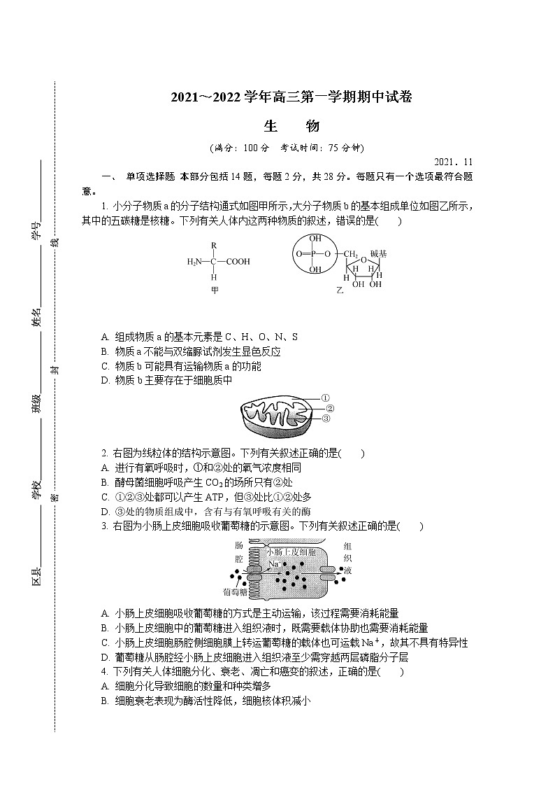 江苏省盐城市2022届高三上学期期中调研考试生物含答案01