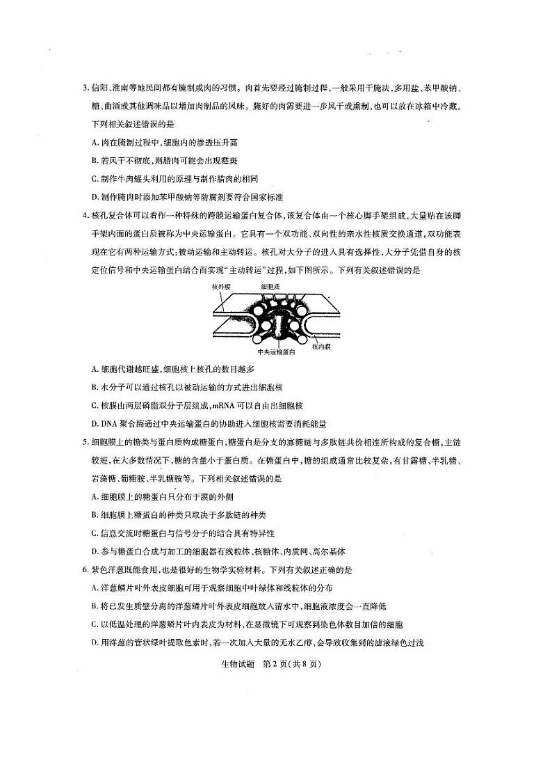 河南省名校大联考2022届高三上学期期中考试生物试题扫描版含答案第2页