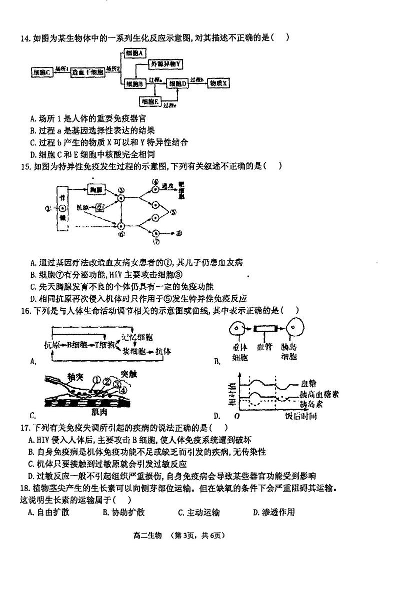 楂樹簩鐢熺墿 第3页
