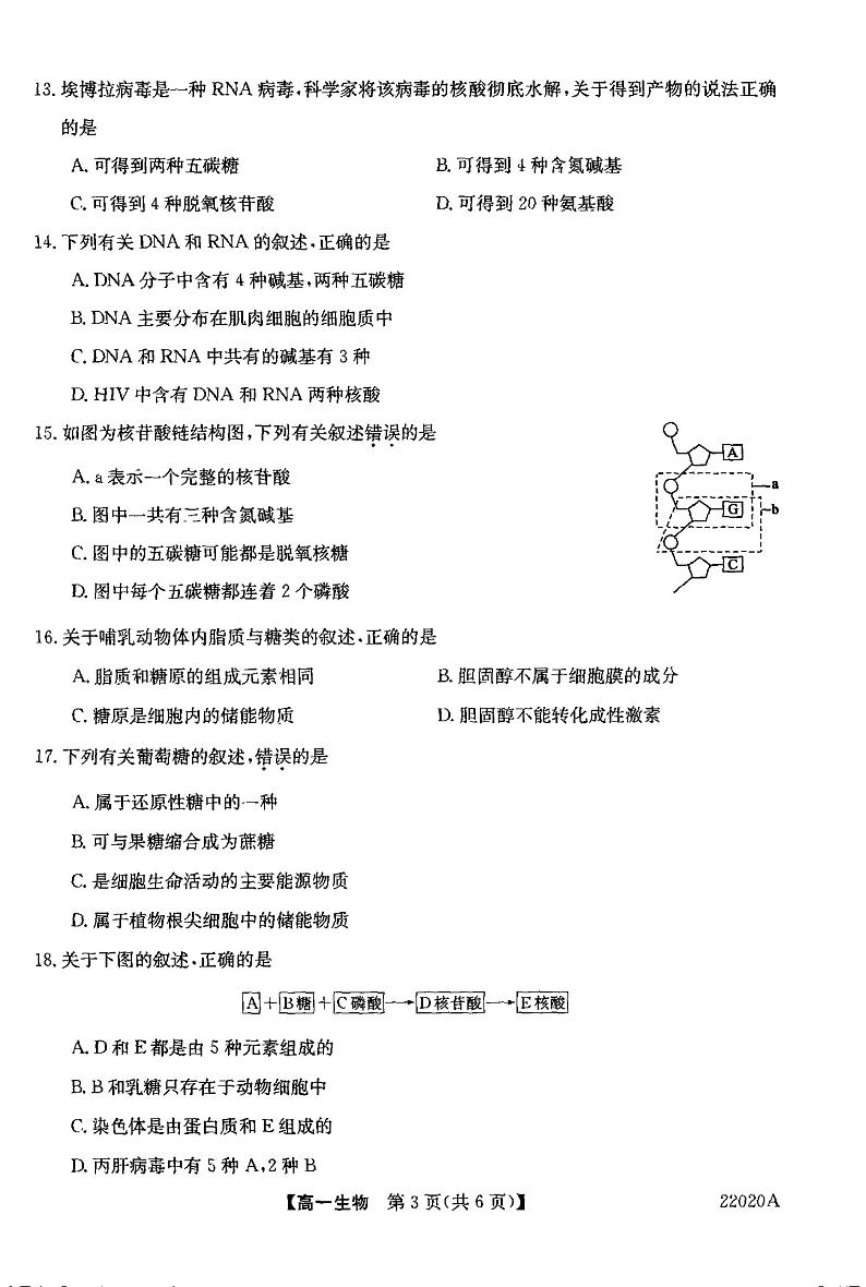 河南省平顶山市九校联盟2021-2022学年高一上学期期中联考生物试题扫描版含答案03