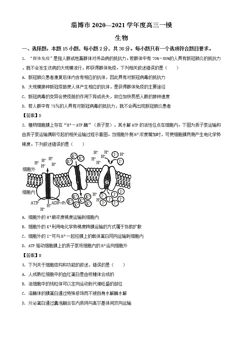 2021届山东省淄博市高三一模生物试题 (含答案)01