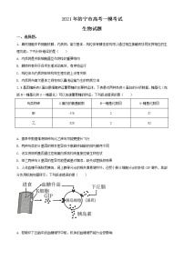 2021届山东省济宁市高三一模生物试题（含答案）