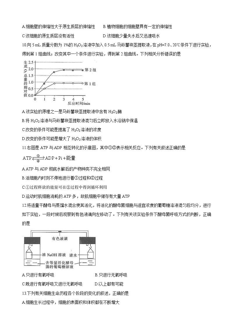 2022届湖北省京山市、安陆市等百校联考高三上学期10月月考 生物（word版含有答案）练习题03