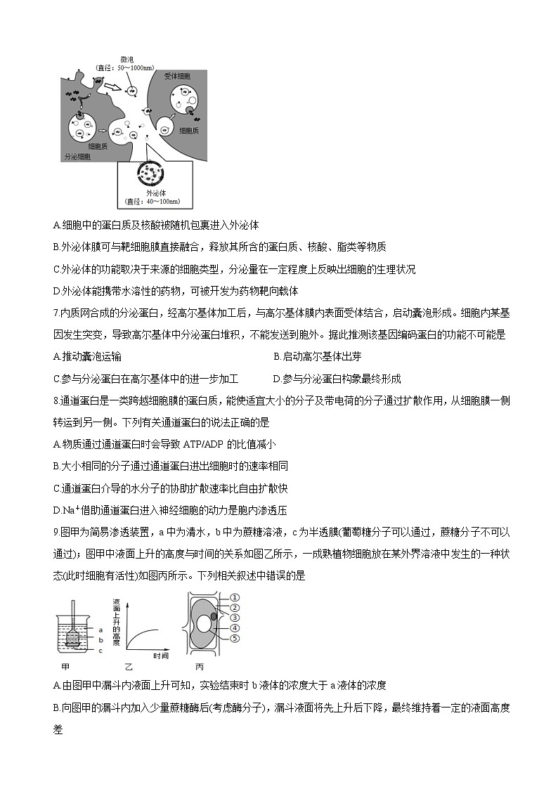 2022届江西省抚州市临川一中、临川一中实验学校高三上学期第一次月考 生物（word版含有答案）练习题第3页