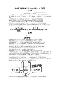 2022届湖南省名校联合体高三上学期10月联考生物试题（PDF版）