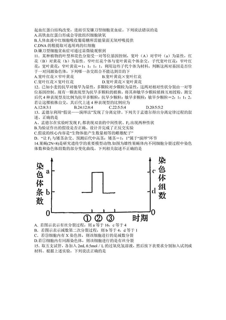 2022届湖南省名校联合体高三上学期10月联考生物试题（PDF版）03