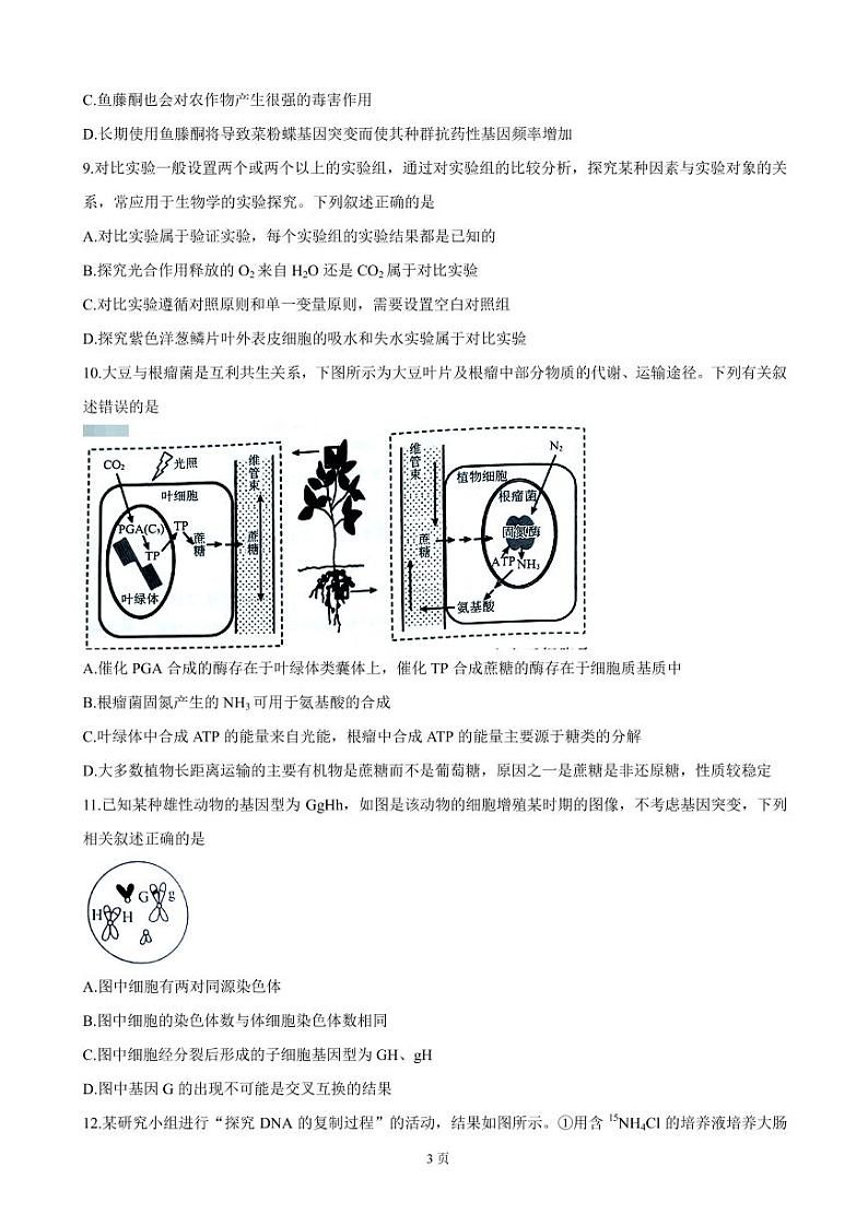 2022届辽宁省联盟高三上学期10月联合考试 生物（PDF版含答案）练习题第3页