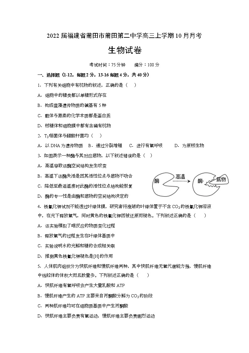 2022届福建省莆田市莆田第二中学高三上学期10月月考生物试题（word版含有答案）第1页