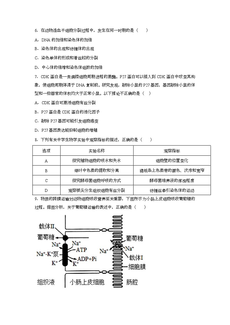 2022届福建省莆田市莆田第二中学高三上学期10月月考生物试题（word版含有答案）第2页