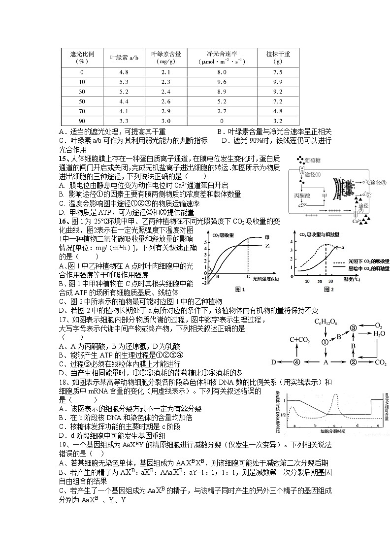 2022届河南省洛阳市第一高级中学高三上学期10月月考生物试题（word版含有答案）03