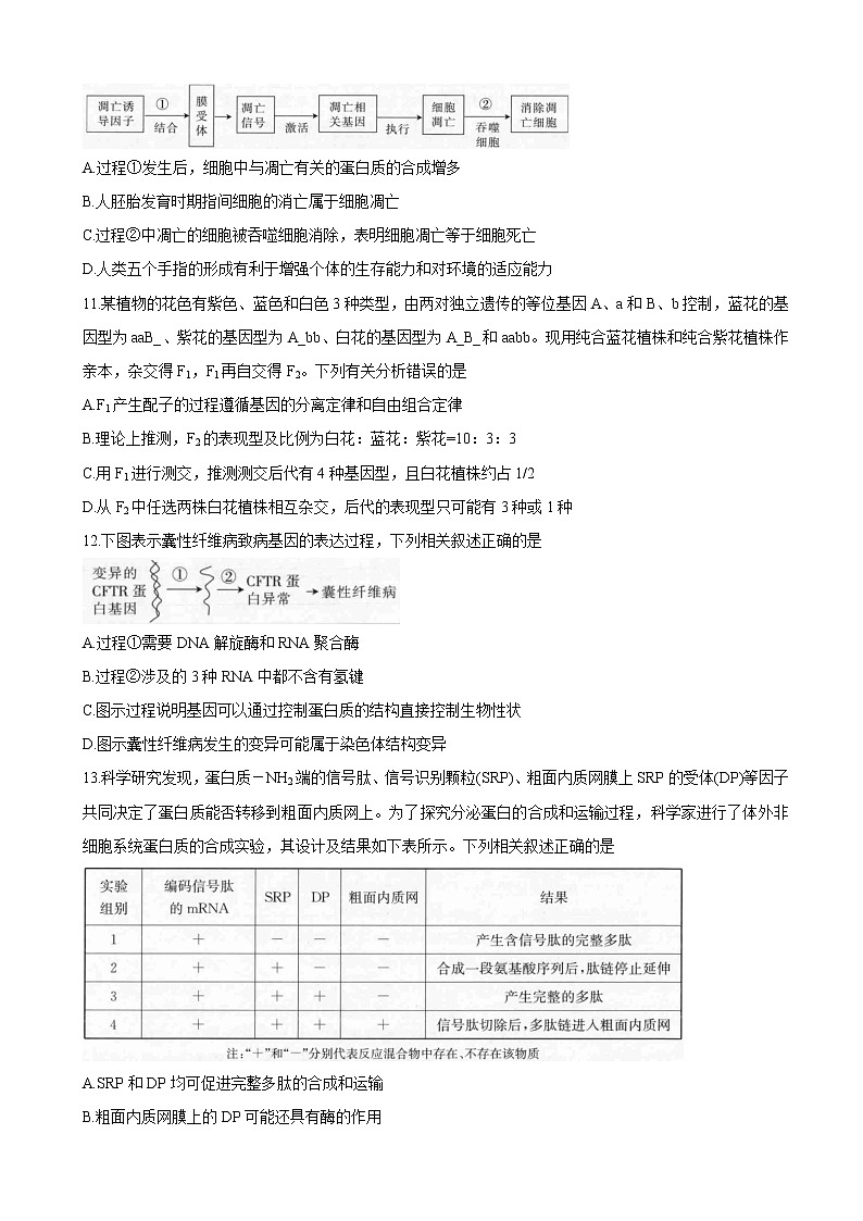 2022届广东省高三上学期9月复习调研考试 生物（word版含有答案）第3页