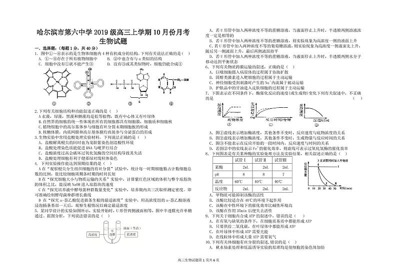 2022届黑龙江省哈尔滨市第六中学高三上学期第一次月考生物试题 （PDF版含答案）第1页