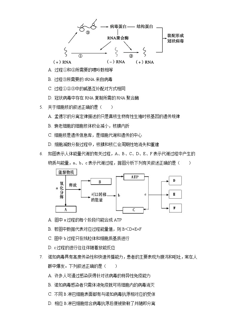 2021年天津市河西区高考生物二模试卷-普通用卷02