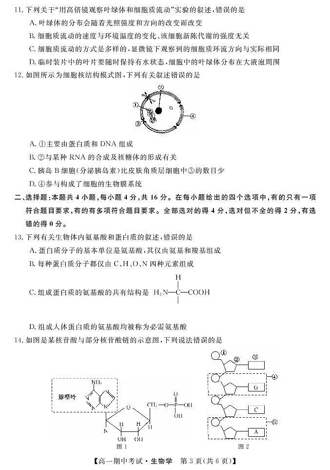 生物试卷第3页