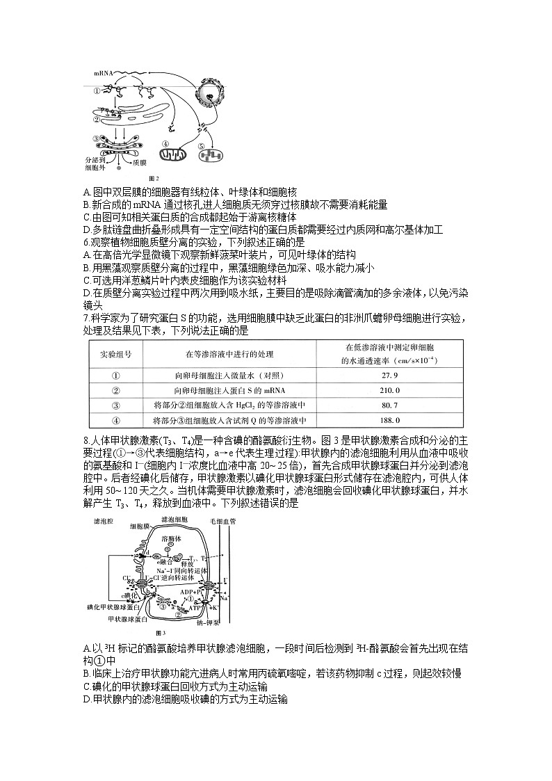 2022届重庆市第八中学高三上学期9月高考适应性月考卷（一）生物试题（word版含有答案）02