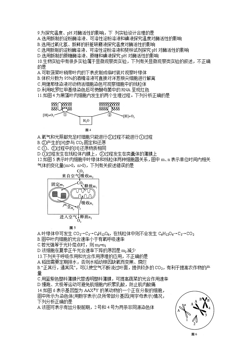 2022届重庆市第八中学高三上学期9月高考适应性月考卷（一）生物试题（word版含有答案）03
