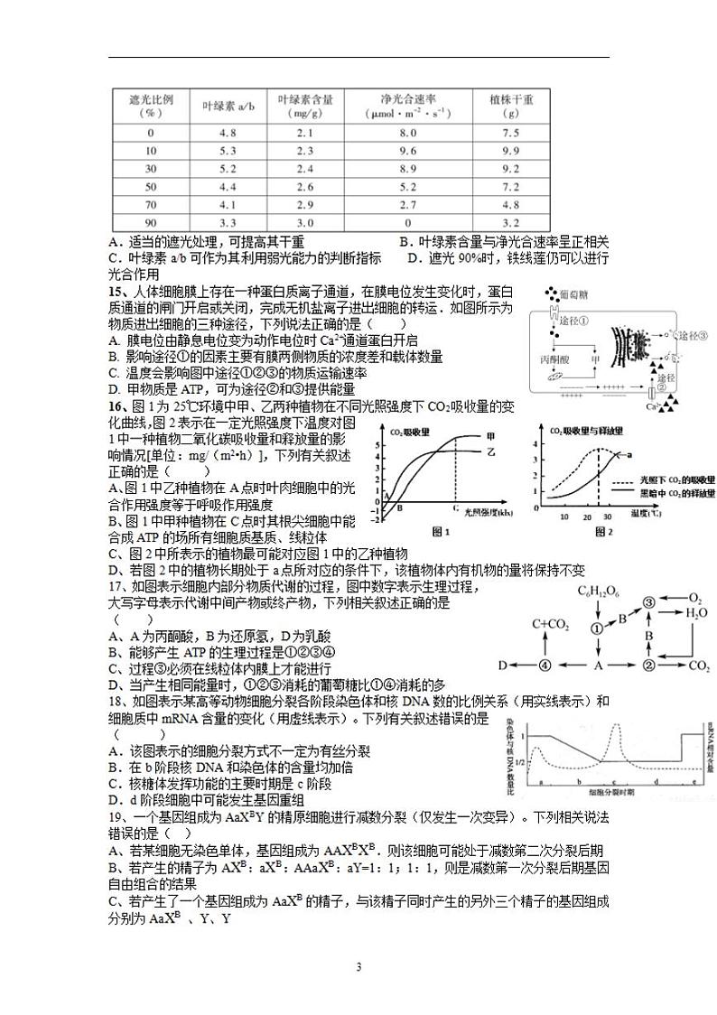 2022届河南省洛阳市第一高级中学高三上学期10月月考生物试题（含答案）03