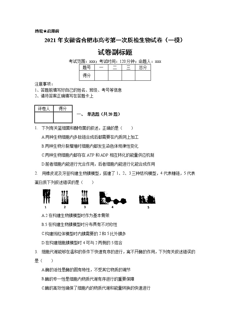 2021年安徽省合肥市高考第一次质检生物试卷（一模）_(带答案解析).docx第1页