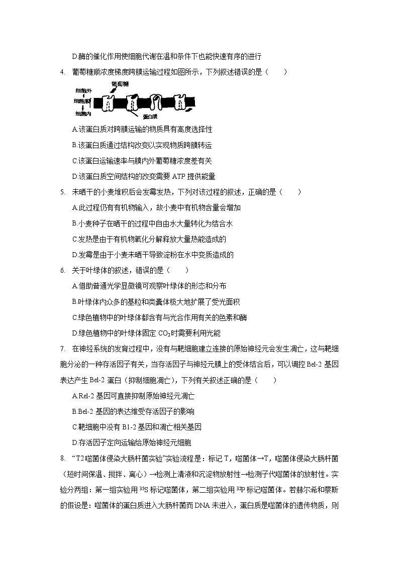2021年安徽省合肥市高考第一次质检生物试卷（一模）_(带答案解析).docx第2页