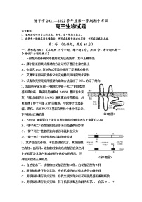 山东省济宁市2022届高三上学期期中考试生物试题含答案