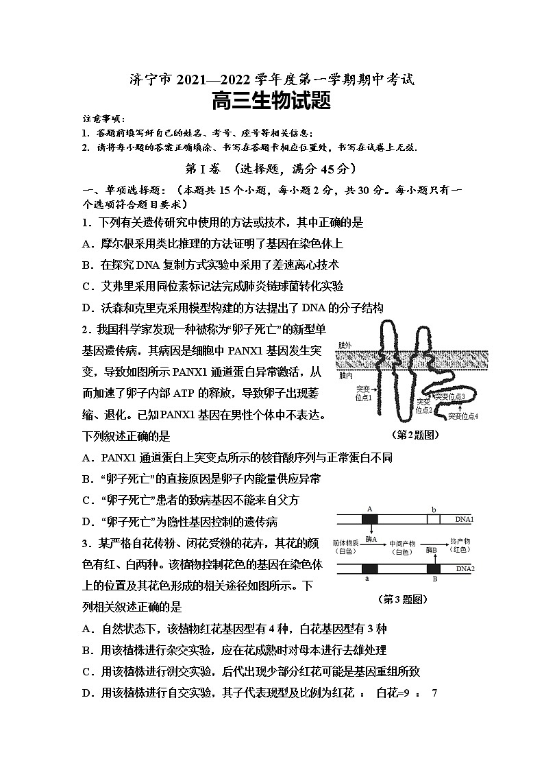 山东省济宁市2022届高三上学期期中考试生物试题含答案01