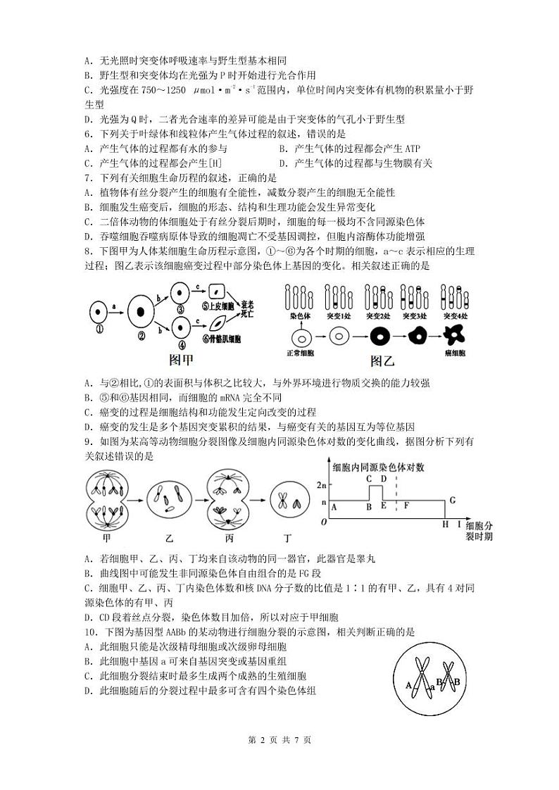高三上期中考试——生物试卷第2页