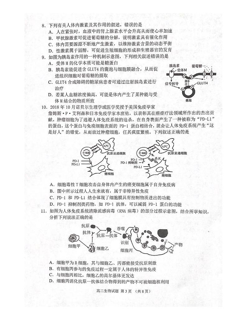 山东省济宁市邹城市2021-2022学年高二上学期期中考试生物试题扫描版含答案第3页