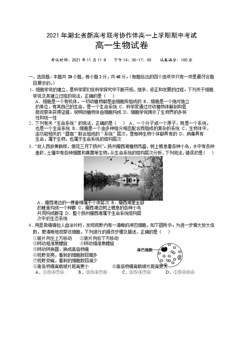 湖北省新高考联考协作体2021-2022学年高一上学期期中考试生物试题含答案01