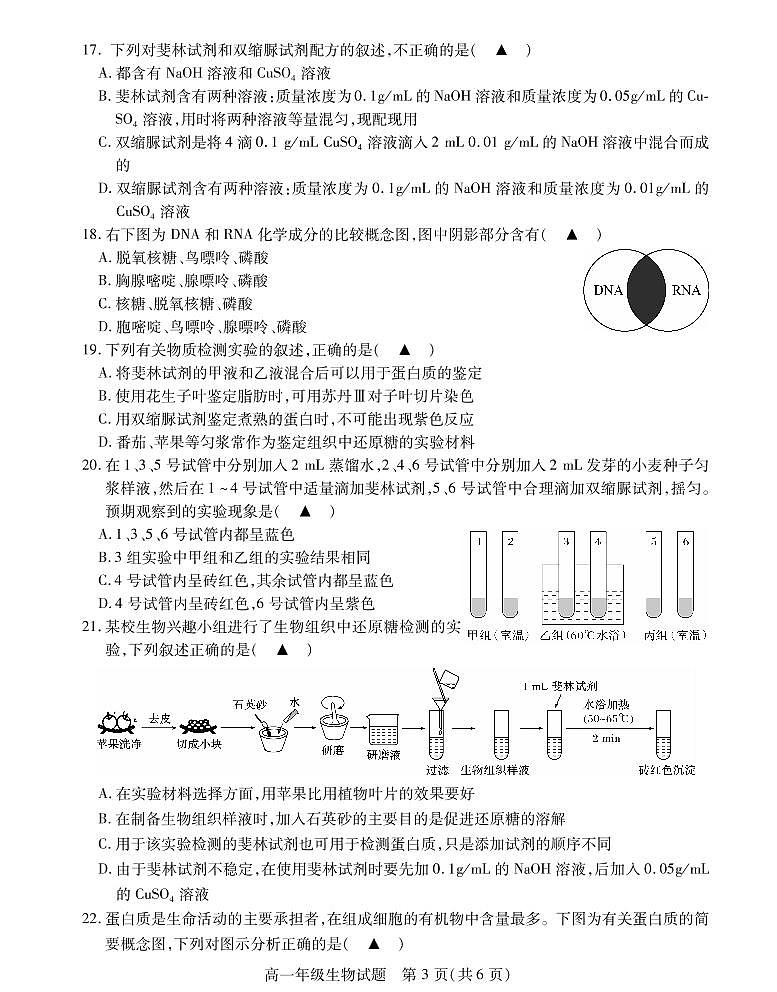 江苏省徐州市沛县2021-2022学年高一上学期第一次学情调研生物试题PDF版含答案03